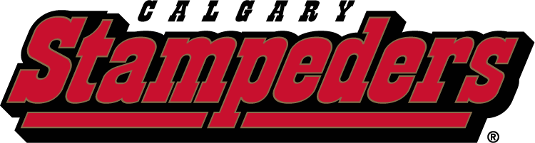 calgary stampeders 2000-2011 wordmark logo iron on transfers for T-shirts